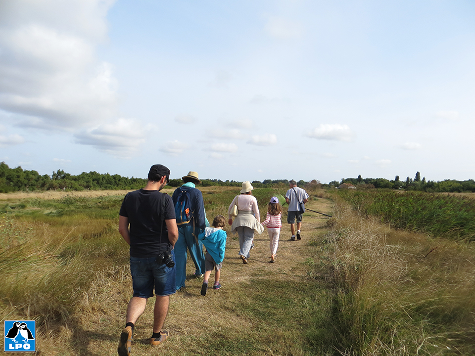 Réserve Naturelle du Marais d'Yves