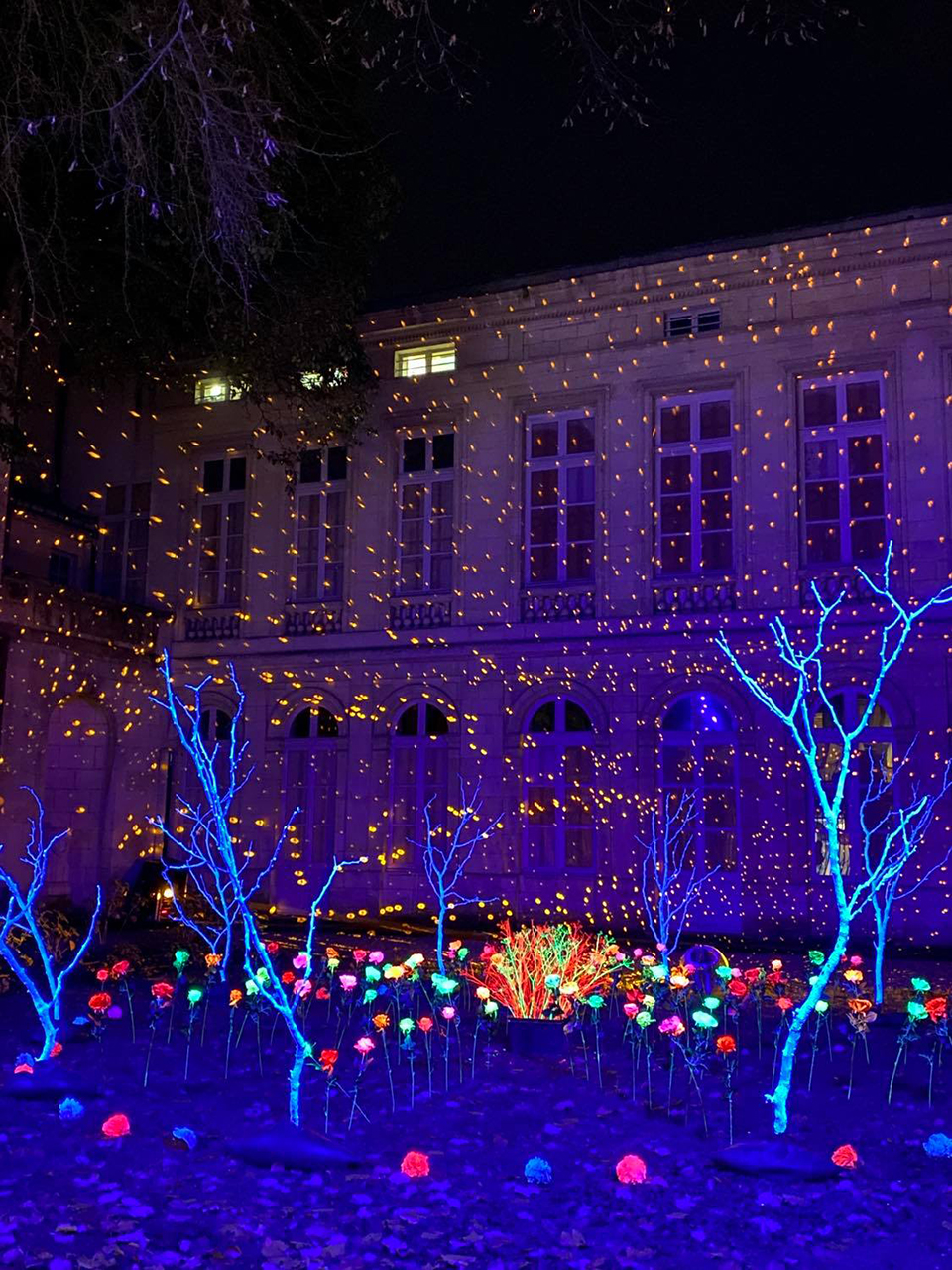 Illumination Noël La Rochelle