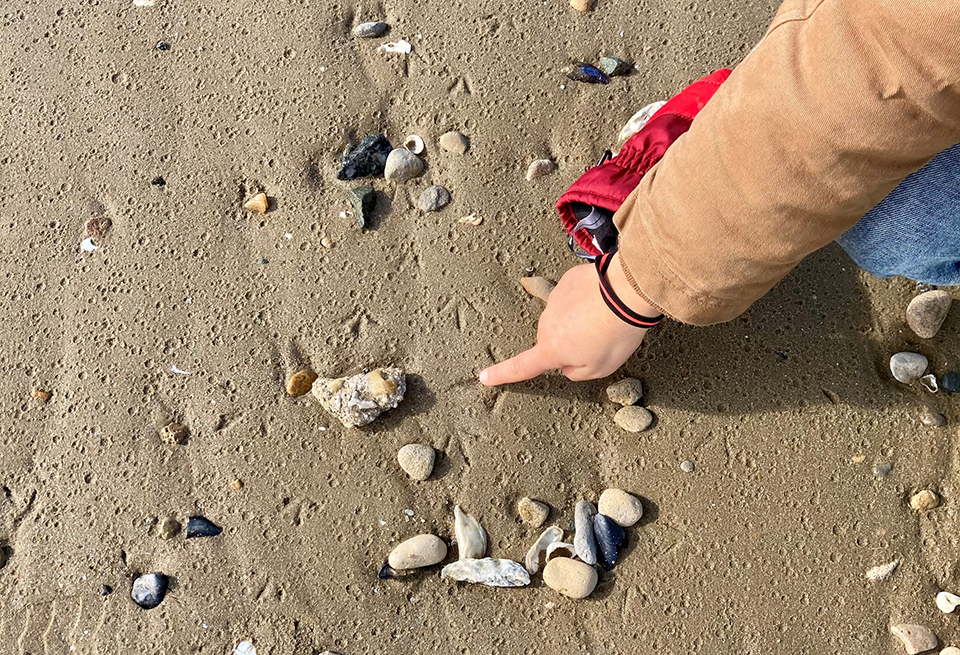 Traces de pattes d'oiseaux