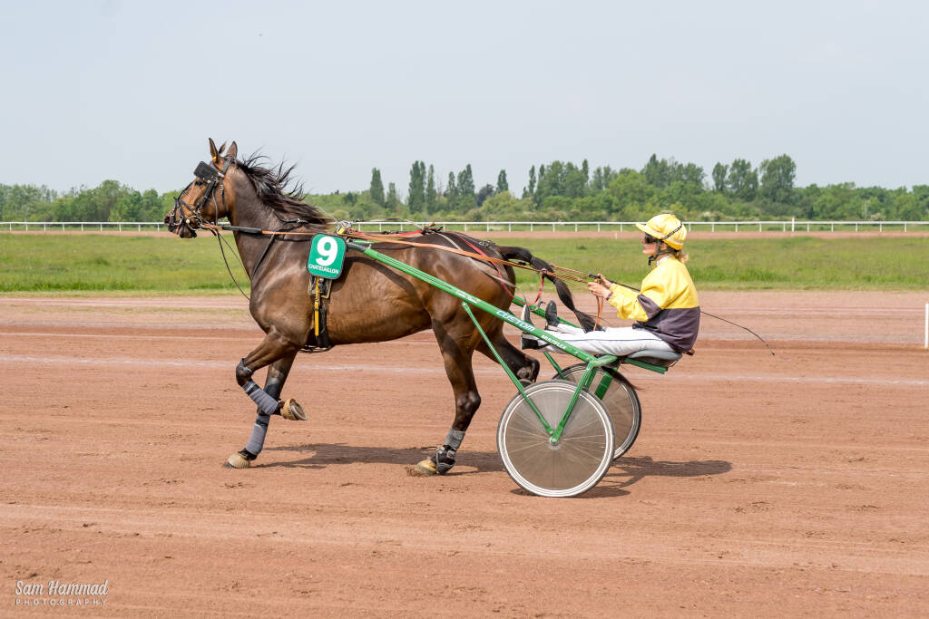 tourisme attelé