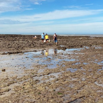 Pêche à pied sur l'estran