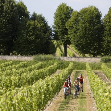 Randonnée VTT dans les vignes