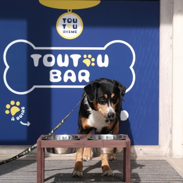 Toutoubar Office de Tourisme La Rochelle
