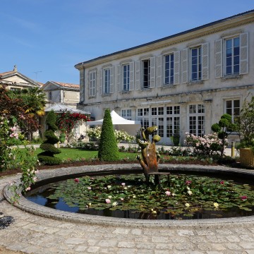 jardin des plantes avec un bassin