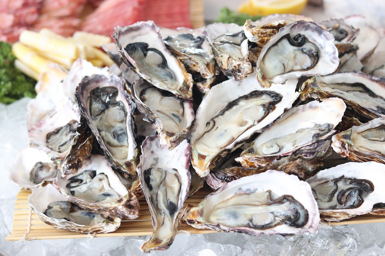 Huîtres à La Rochelle : Nos conseils d'expert