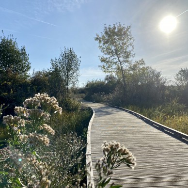 Se reconnecter à la nature au Marais de Tasdon