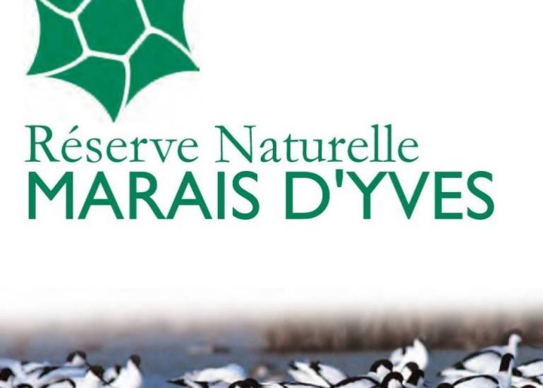 BALADE : UNE HEURE AVEC LES OISEAUX DE LA BAIE D'YVES BALADE : UNE HEURE AVEC LES OISEAUX DE LA BAIE D'YVES