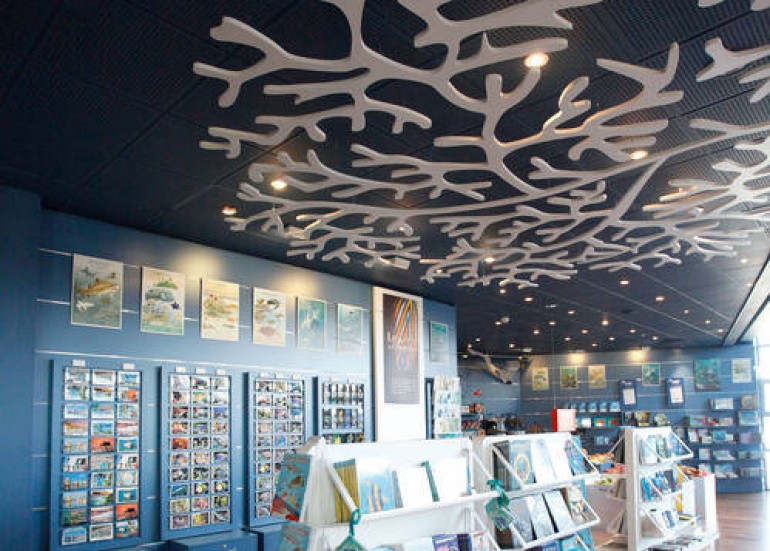 MEMOIRES D'OCEANS - LA BOUTIQUE DE L'AQUARIUM MEMOIRES D'OCEANS - LA BOUTIQUE DE L'AQUARIUM