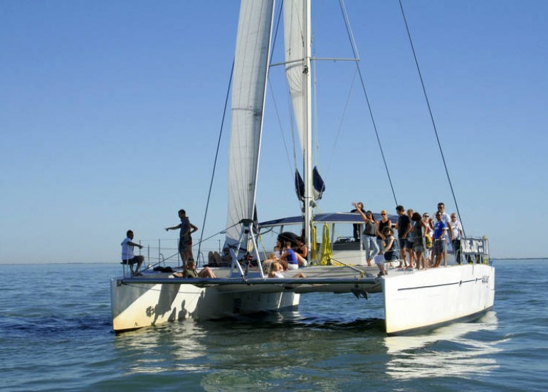 ANIMATION : LES NAVIGATIONS MINI-TRANSAT ! ANIMATION : LES NAVIGATIONS MINI-TRANSAT !