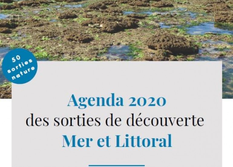 ANIMATIONS : SORTIES DÉCOUVERTES MER ET LITTORAL ANIMATIONS : SORTIES DÉCOUVERTES MER ET LITTORAL