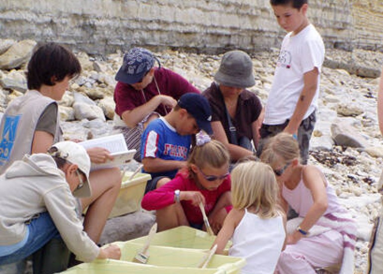Safari Junior les petits paléontologues