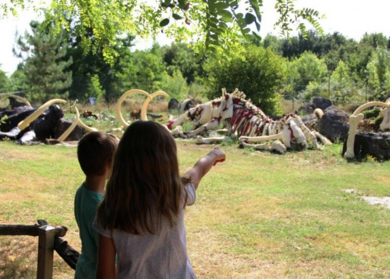 Cimetière mammouths