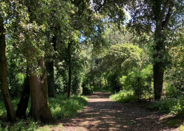 Parc Franck Delmas