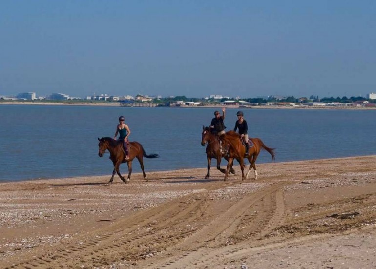 Equitation - Centre équestre La Petite Ecurie Equitation - Centre équestre La Petite Ecurie