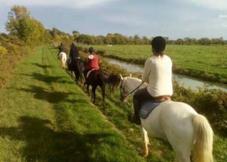 Equitation - Centre équestre Le Marais en Selle Equitation - Centre équestre Le Marais en Selle