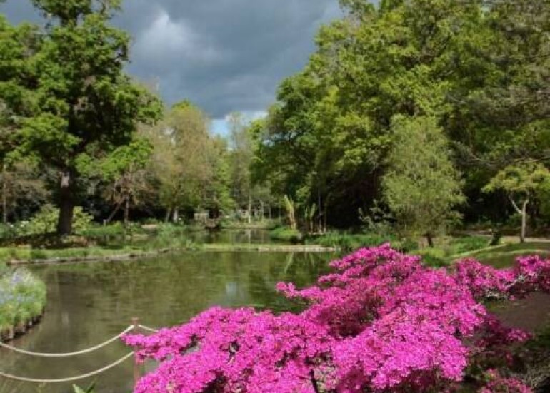 Parc floral de la court d'Aron