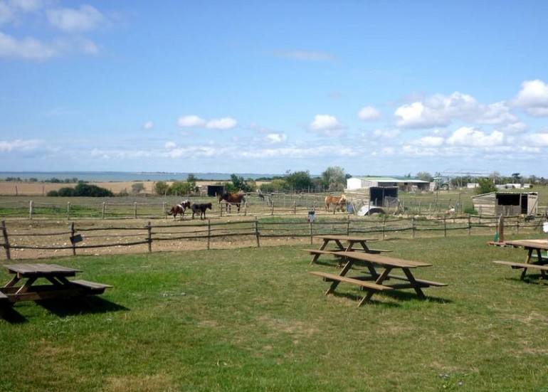 Ferme pédagogique - L'Autruche de Laurette