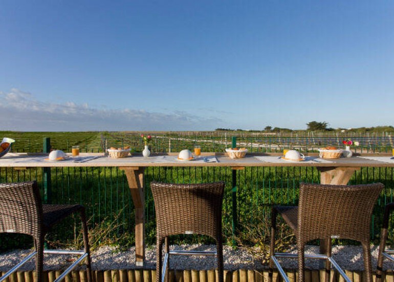 Terrasse vue sur les vignes