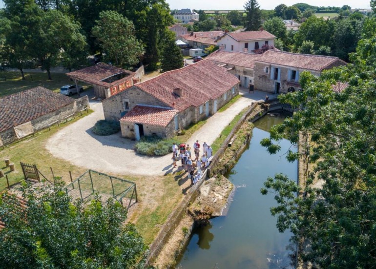 Maison de la Meunerie - 2