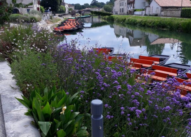 Marais poitevin COULON 79