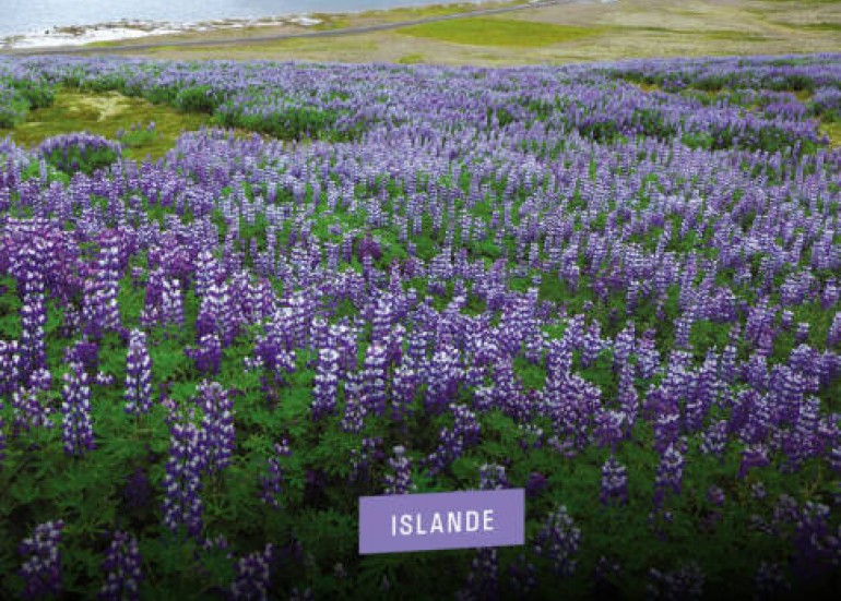 Ciné-conférence - L'Islande Ciné-conférence - L'Islande