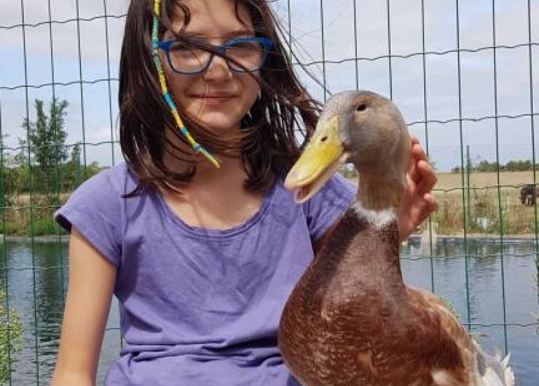 canard asierie des varennes