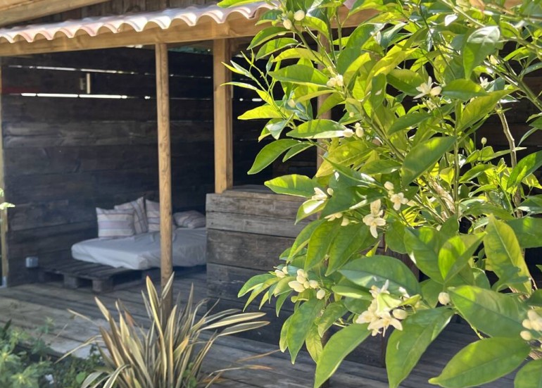 La cabane