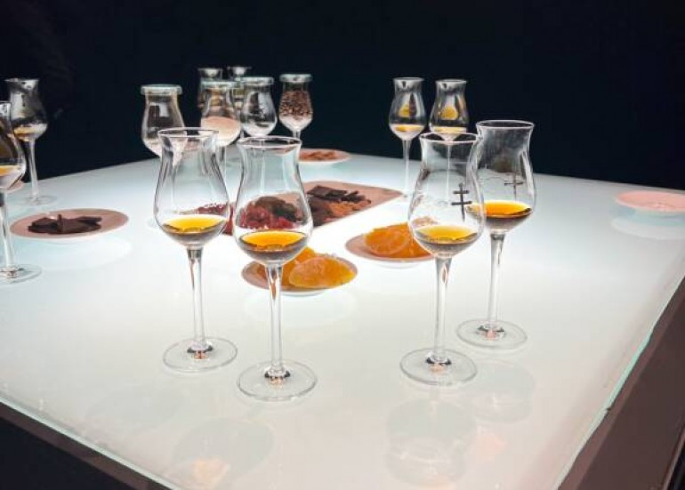 Au cœur de d'Ussé - Château de Cognac