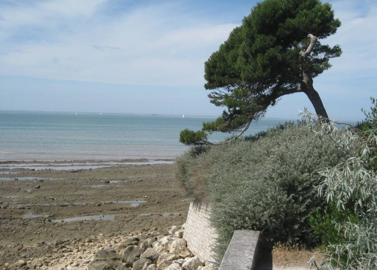 Corniche à 20 mn à pied