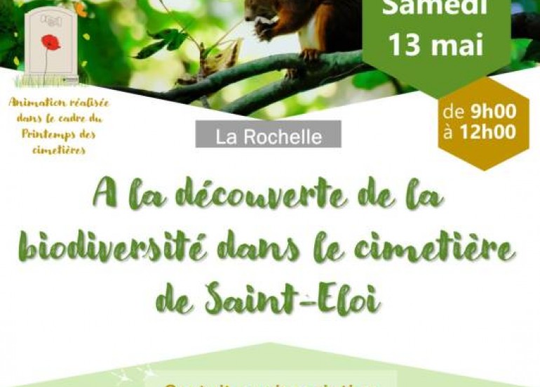 Affiche découverte biodiversité