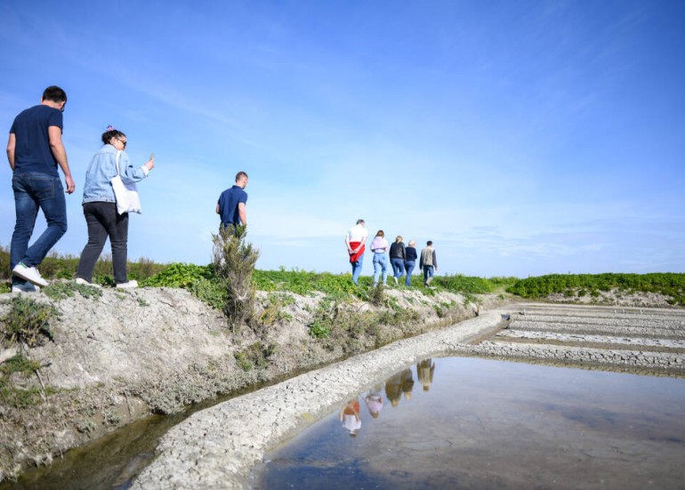 Visite marais salant Ile de Ré