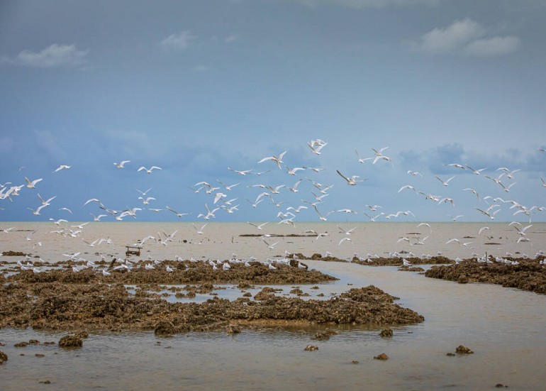 Paysage du littoral
