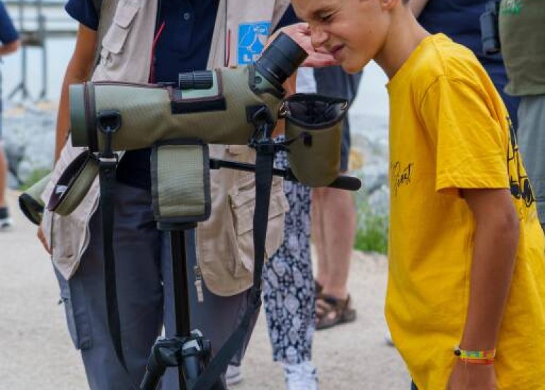 Découverte des oiseaux et d'une cabane ostréicole - Visite guidée_Yves