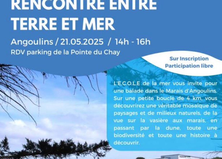 Sortie nature - Le marais d'Angoulins : rencontre entre terre et mer_Angoulins