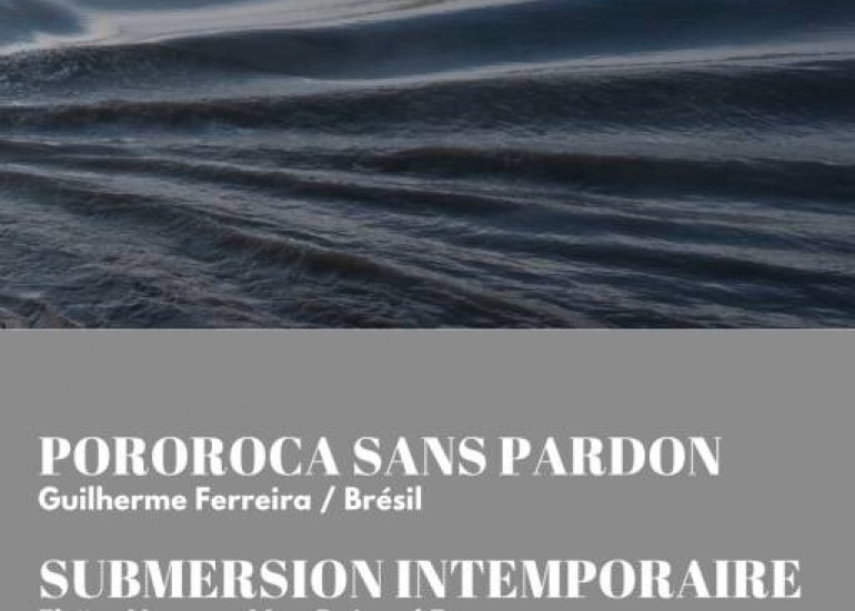 Exposition - Pororoca sans pardon - Guilherme Ferreira_La Rochelle