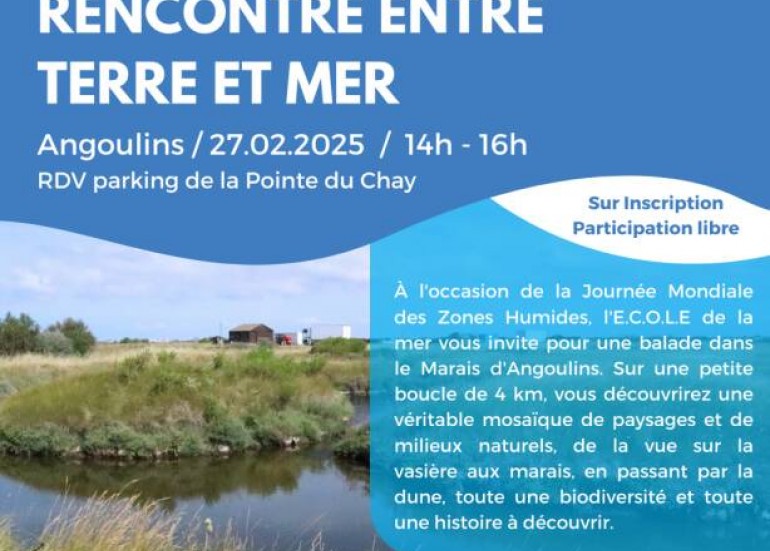 Le marais d'Angoulins : rencontre entre terre et mer
