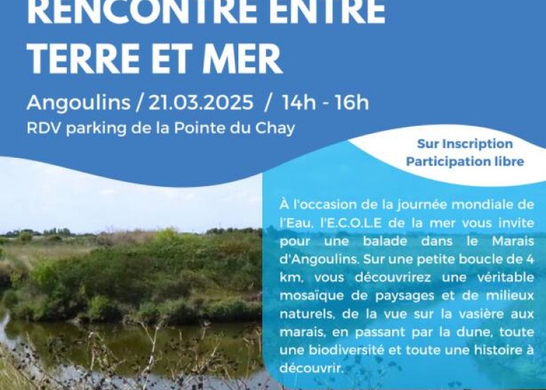 Le marais d'Angoulins : rencontre entre terre et mer