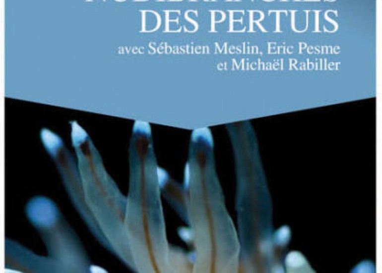 Conférence - Nudibranches des Pertuis_La Rochelle