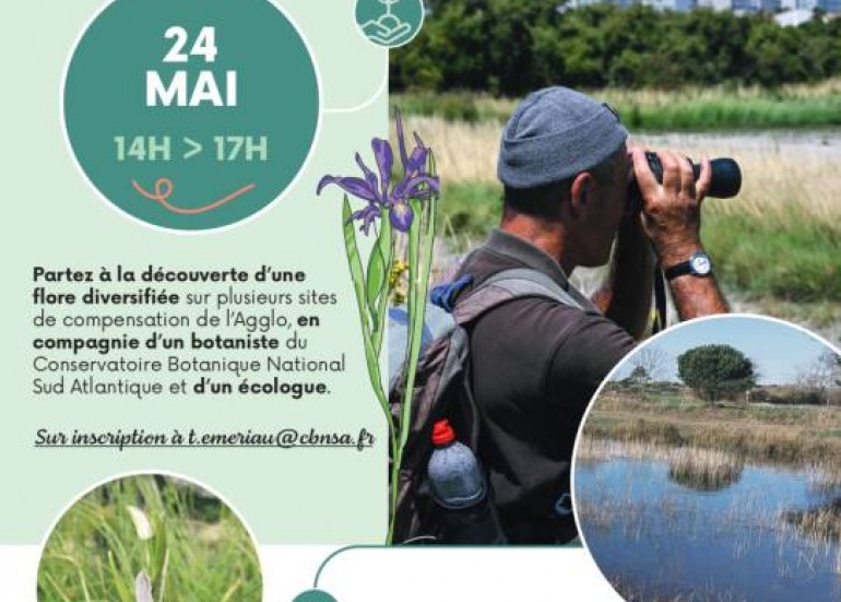 Sortie botanique