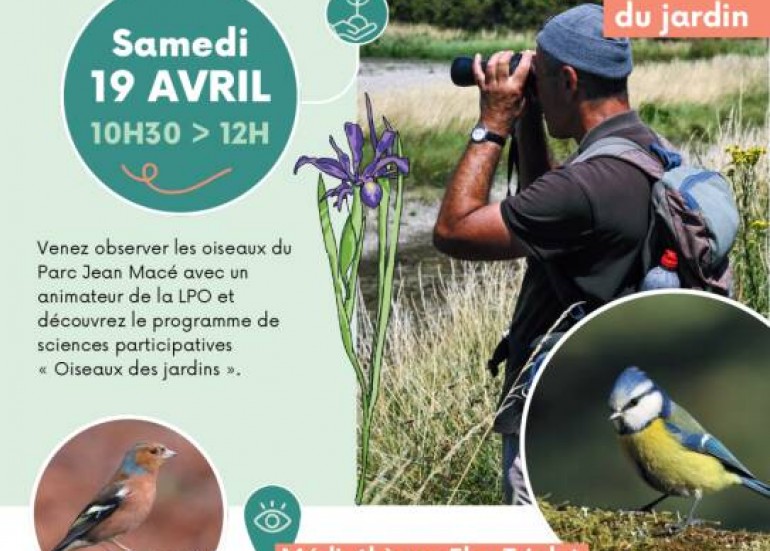 Sciences participatives - les oiseaux du jardin