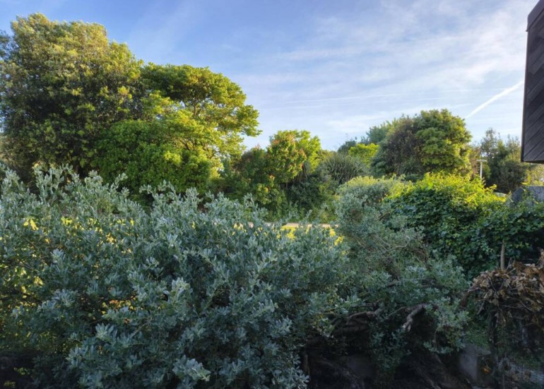 Parc depuis notre terrasse (non louée)