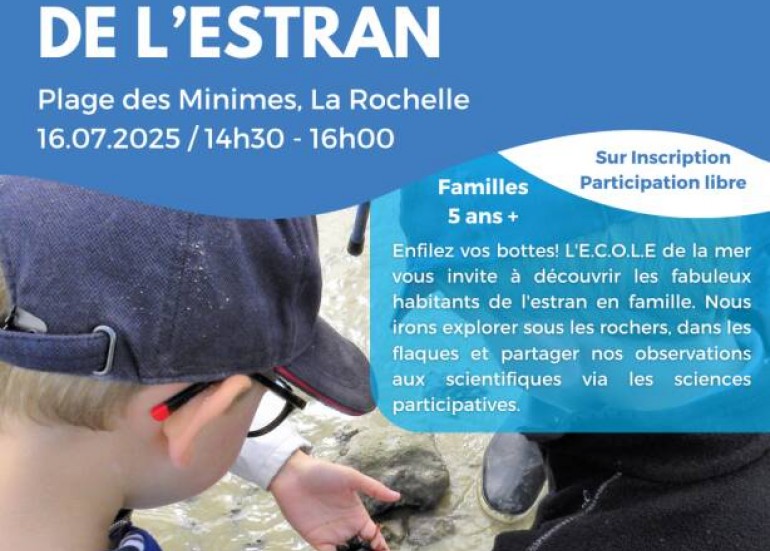 Sortie Nature - Explorateurs de l'estran_La Rochelle