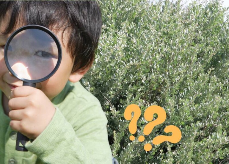 Sortie Nature - Explorateurs en Herbe_Angoulins