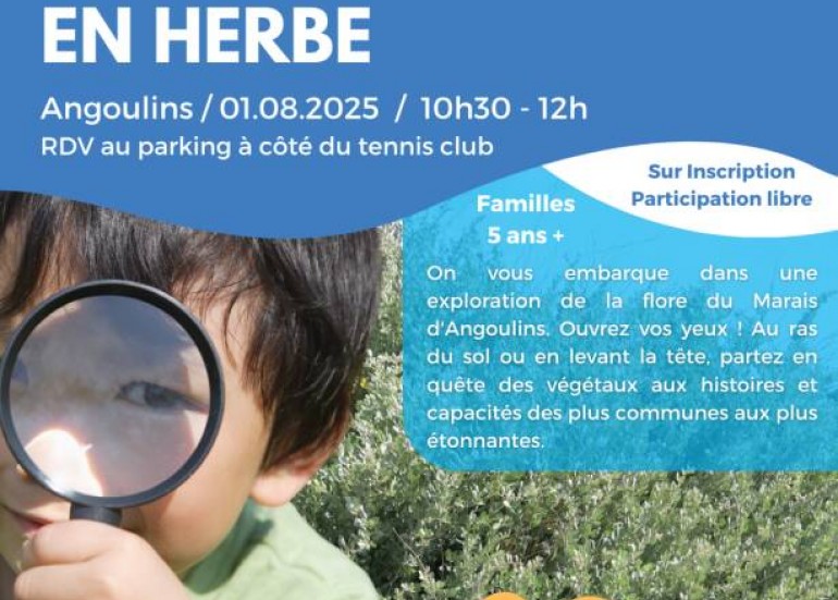 Sortie Nature - Explorateurs en Herbe_Angoulins
