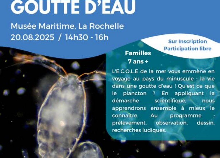La vie dans une goutte d'eau