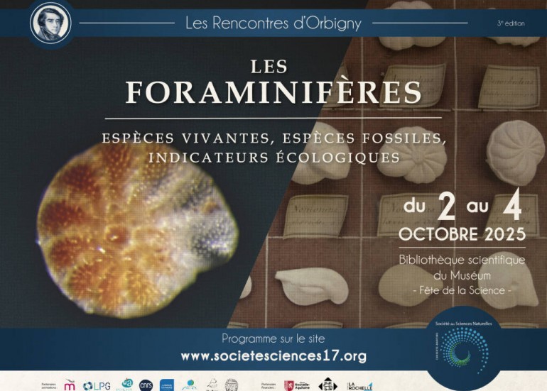 Conférence - Les rencontres d'Orbigny - Les Foraminifères_La Rochelle