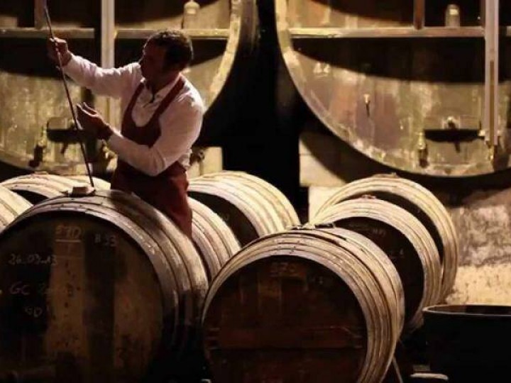 Chais - Cognac et Pineau Normandin-Mercier