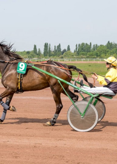 tourisme attelé