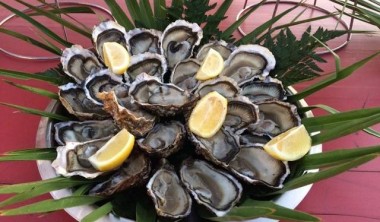 COQUILLAGES & CRUSTACES COQUILLAGES & CRUSTACES