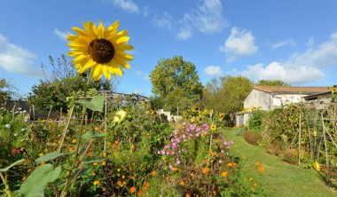 SERVICE NATURE ET PAYSAGES - RELAIS NATURE DE LA MOULINETTE SERVICE NATURE ET PAYSAGES - RELAIS NATURE DE LA MOULINETTE